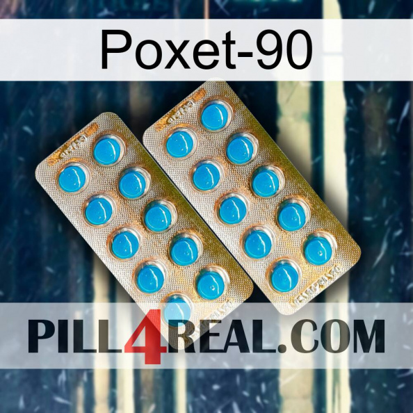 Poxet-90 new08.jpg
